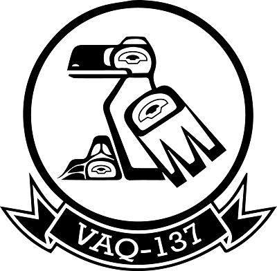 VAQ-137 Squadron Insignia