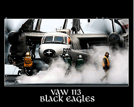 VAW-113 Aircraft Image