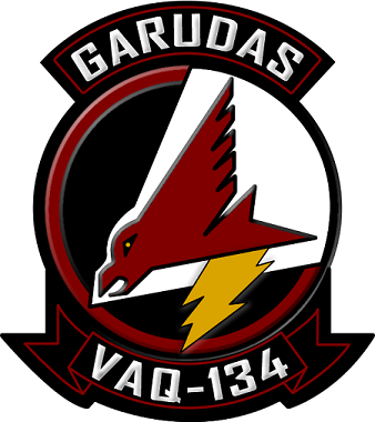 VAQ-134 Squadron Insignia